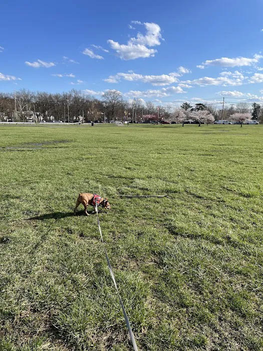 Overpeck Dog Park 5