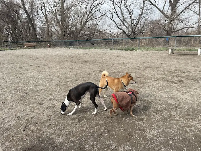 Overpeck Dog Park 2