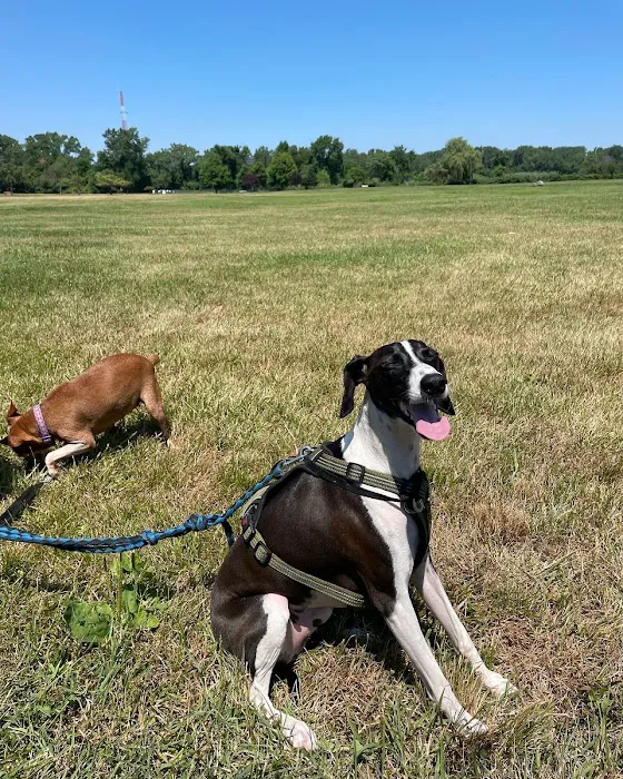 Overpeck Dog Park 4