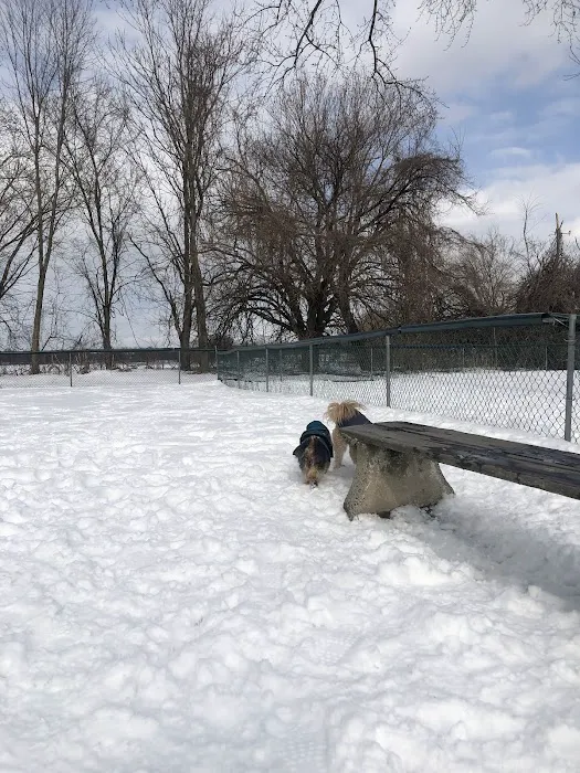 Overpeck Dog Park 8