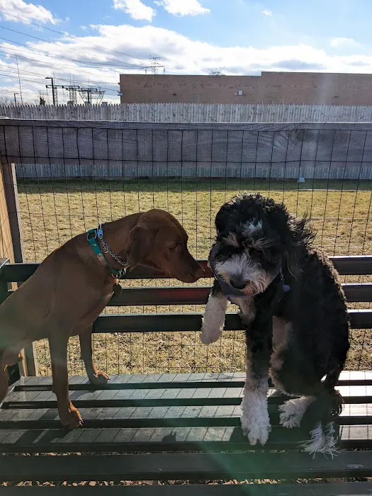 Ridge Hill Dog Park 7