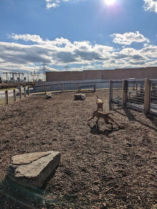 Ridge Hill Dog Park 9