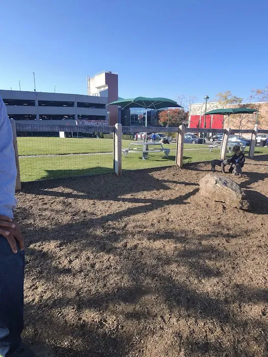 Ridge Hill Dog Park 1