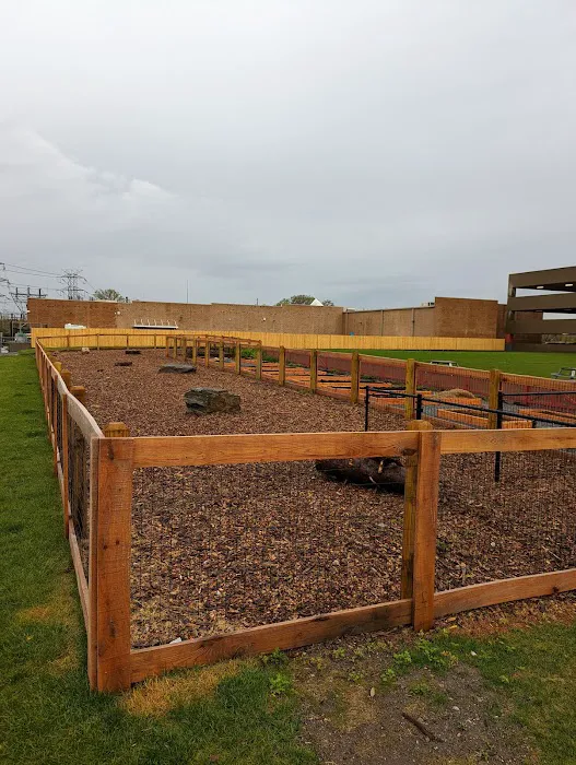 Ridge Hill Dog Park 4
