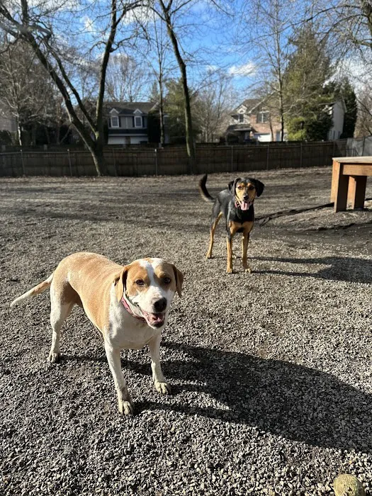 Tenafly Dog Park 5