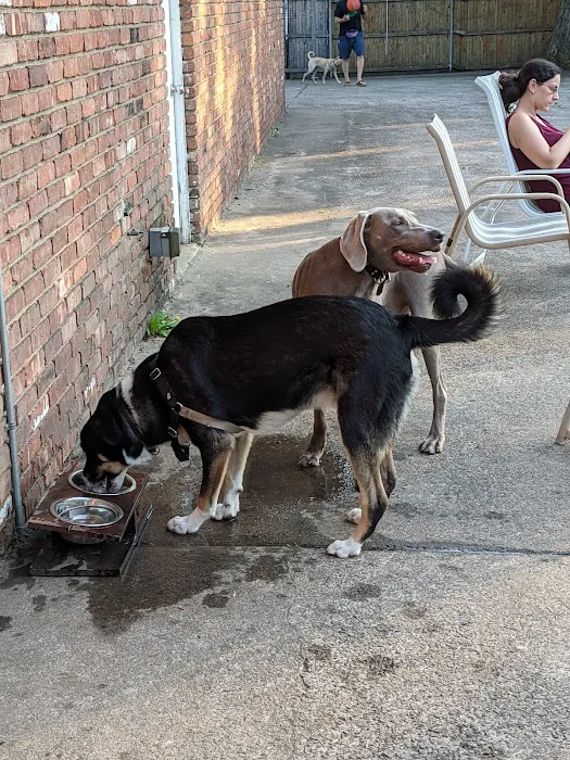Tenafly Dog Park 7