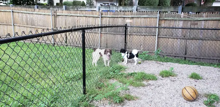 Tenafly Dog Park 2