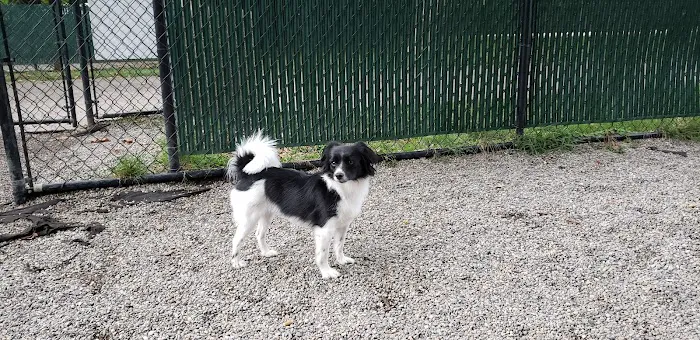 Tenafly Dog Park 1