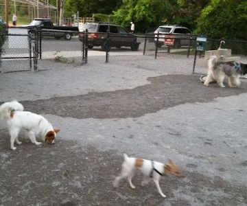 Bark Park - Off-Leash Dog Run for Members Only