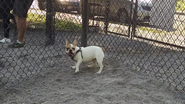 Bark Park - Off-Leash Dog Run for Members Only 4