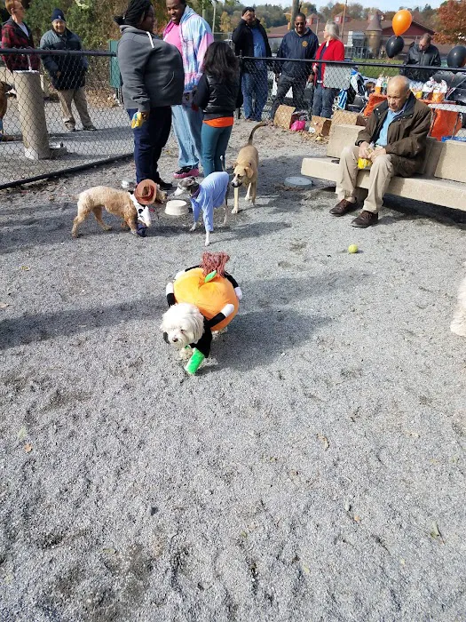 Bark Park - Off-Leash Dog Run for Members Only 3