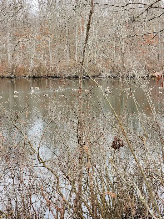Blydenburgh Dog Park Area 9