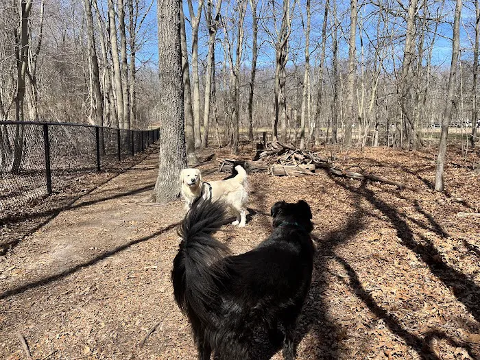 Blydenburgh Dog Park Area 1