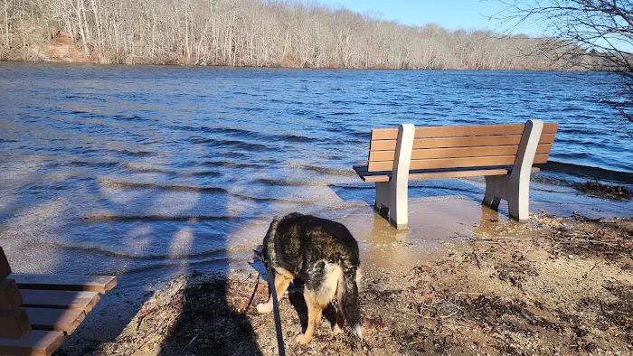 Blydenburgh Dog Park Area 5