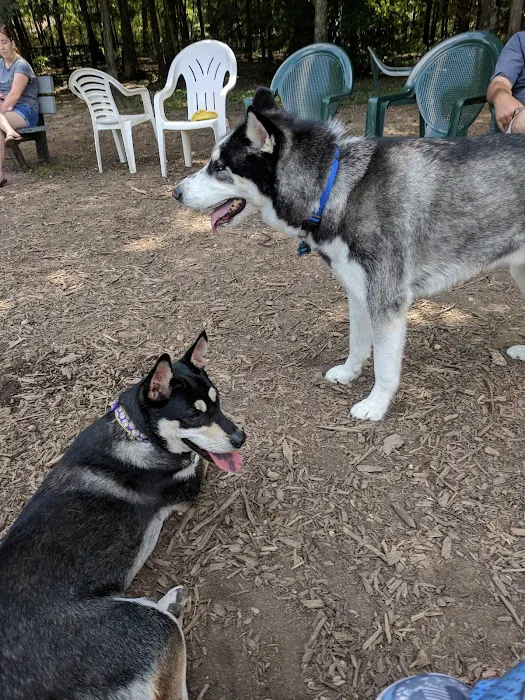 Blydenburgh Dog Park Area 4