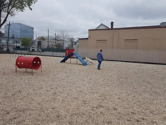 Harbor Point Dog Park 2