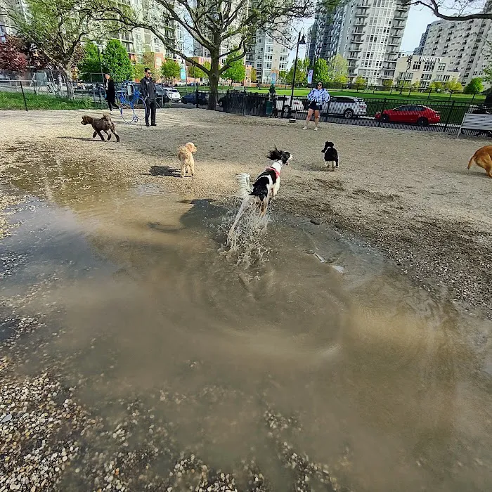 Harbor Point Dog Park 9