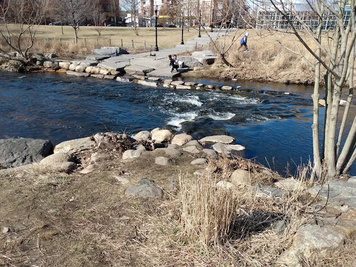 Mill River Bark Park 7