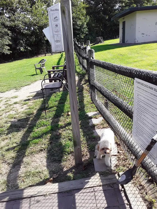 Stamford Dog Park 6