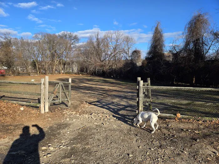 Stamford Dog Park 1