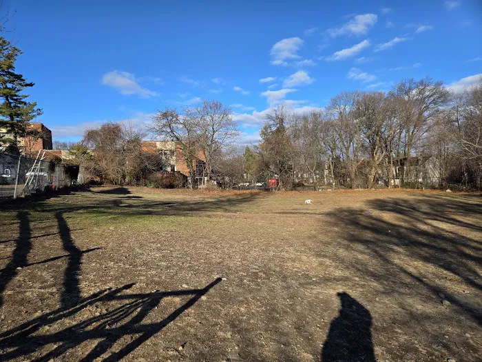 Stamford Dog Park 2