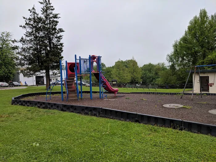 Stamford Dog Park 5