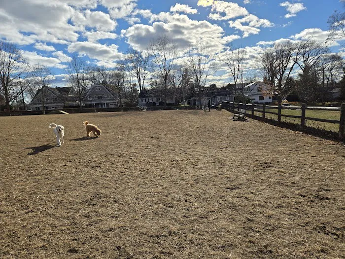 Rowayton Dog Park 6