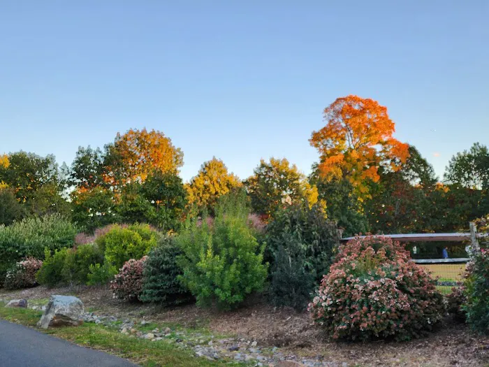 Rowayton Dog Park 1