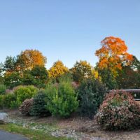 Rowayton Dog Park ico