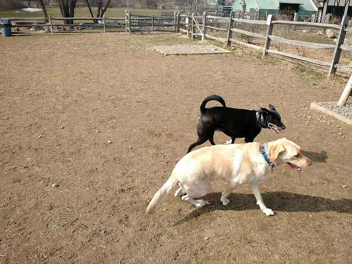 Rowayton Dog Park 10