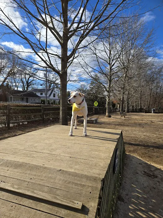 Rowayton Dog Park 4