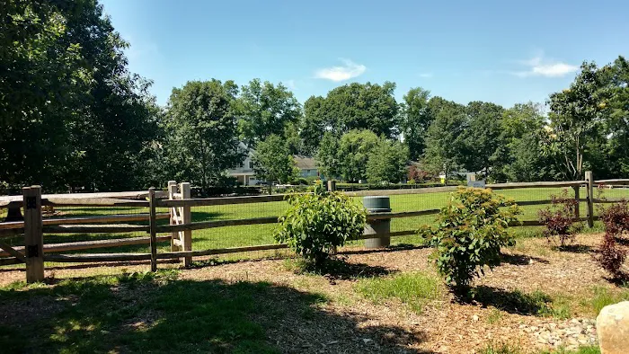 Rowayton Dog Park 3