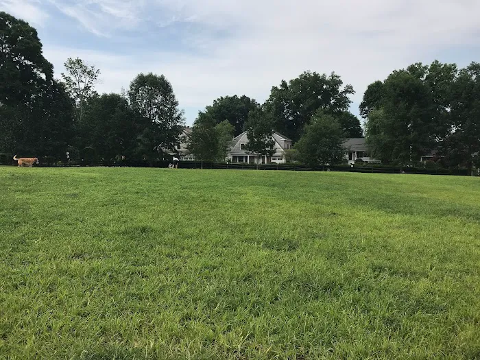 Rowayton Dog Park 7