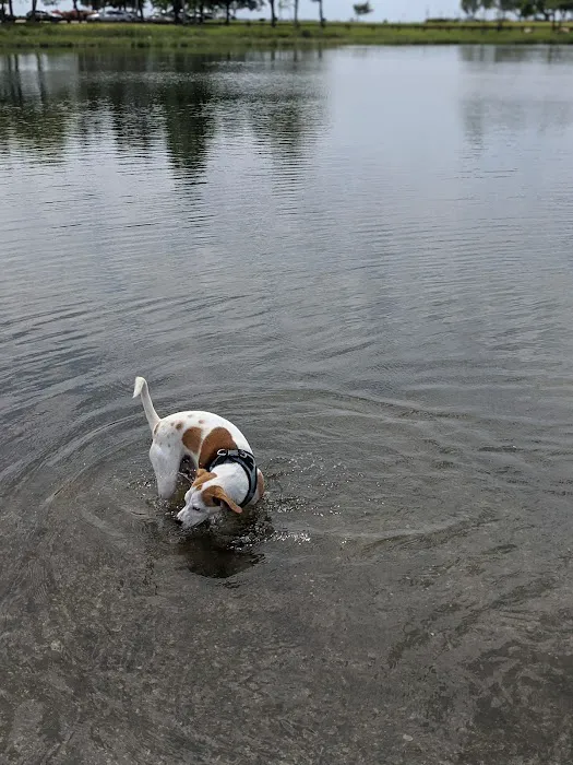 Taylor Farm Dog Park 9