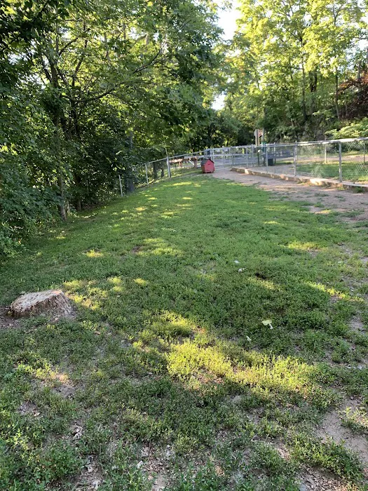 Elmsford Dog Park 7