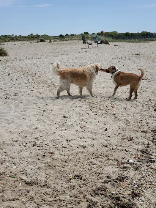 Mud Creek Dog Park 10