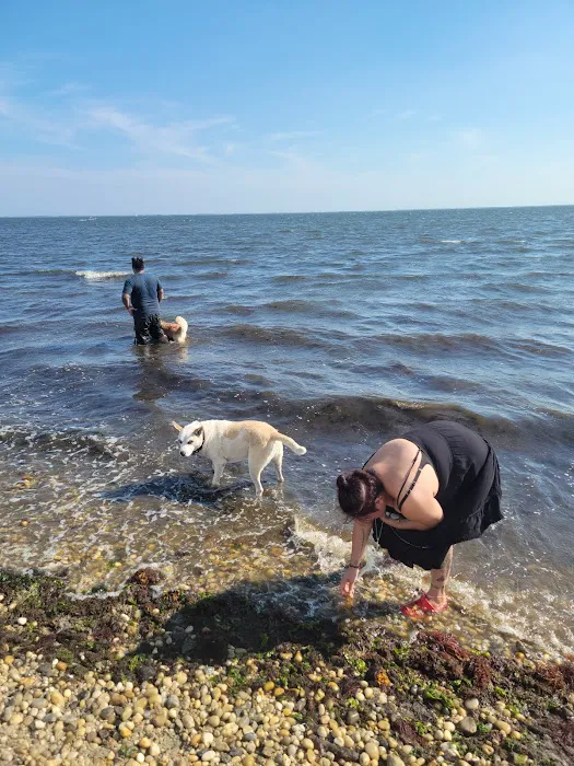 Mud Creek Dog Park 7