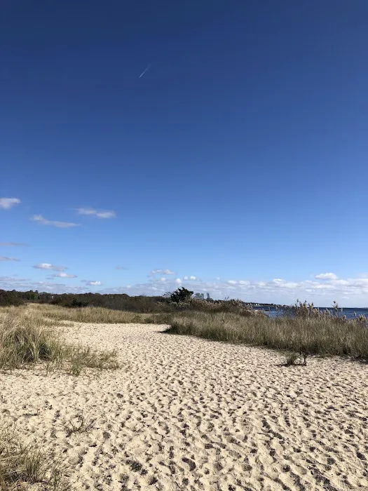 Mud Creek Dog Park 4