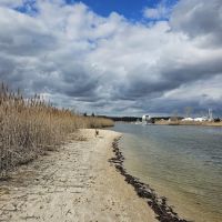 Mud Creek Dog Park ico