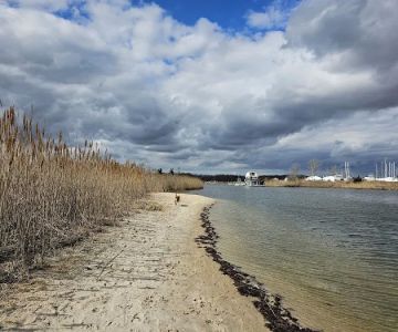 Mud Creek Dog Park