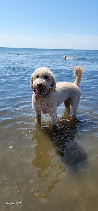 Mud Creek Dog Park 2