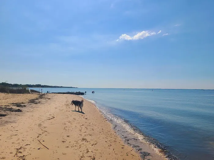 Mud Creek Dog Park 3