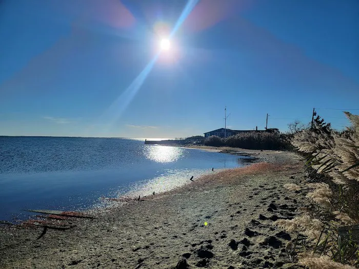 Mud Creek Dog Park 6