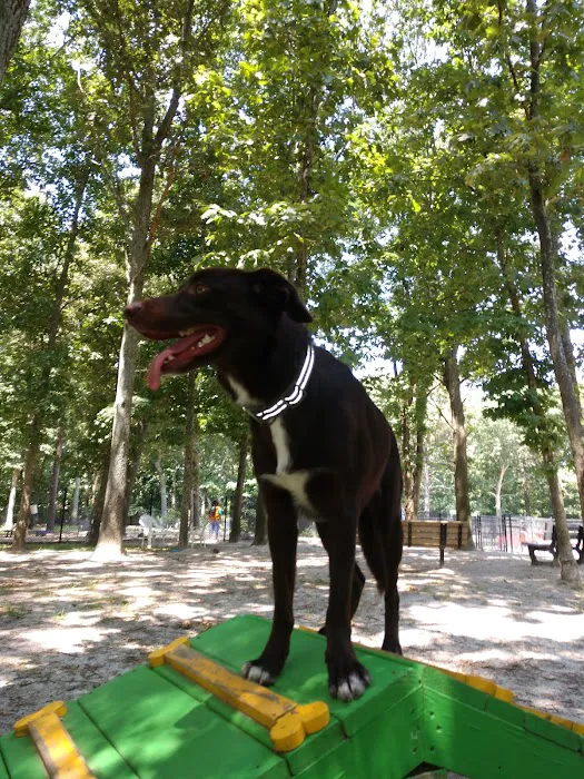 Selden Dog Park 1