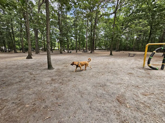 Selden Dog Park 2