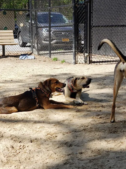 Selden Dog Park 9