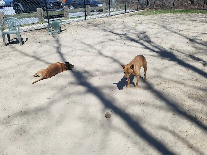 Selden Dog Park 4