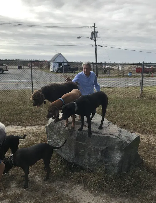 Ocean County Off Leash Dog Area 5