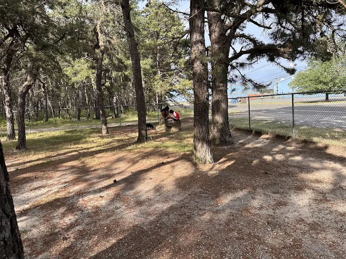 Ocean County Off Leash Dog Area 1