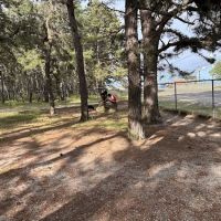 Ocean County Off Leash Dog Area ico